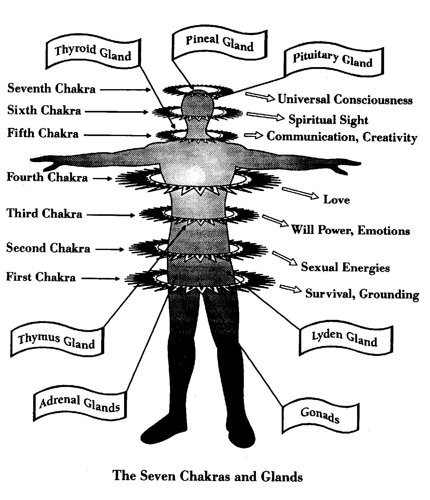 Taken from Joshua David Stone, Ph.D., SOUL PSYCHOLOGY:  KEYS TO ASCENSION