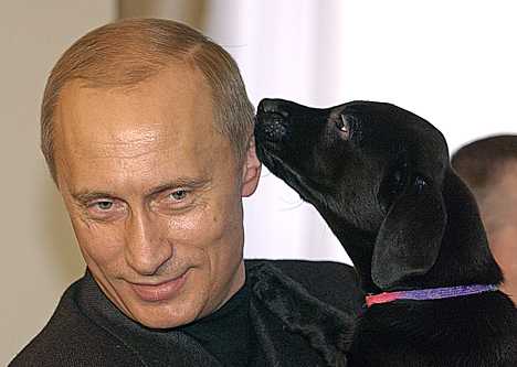 Purin with black dog, Koni