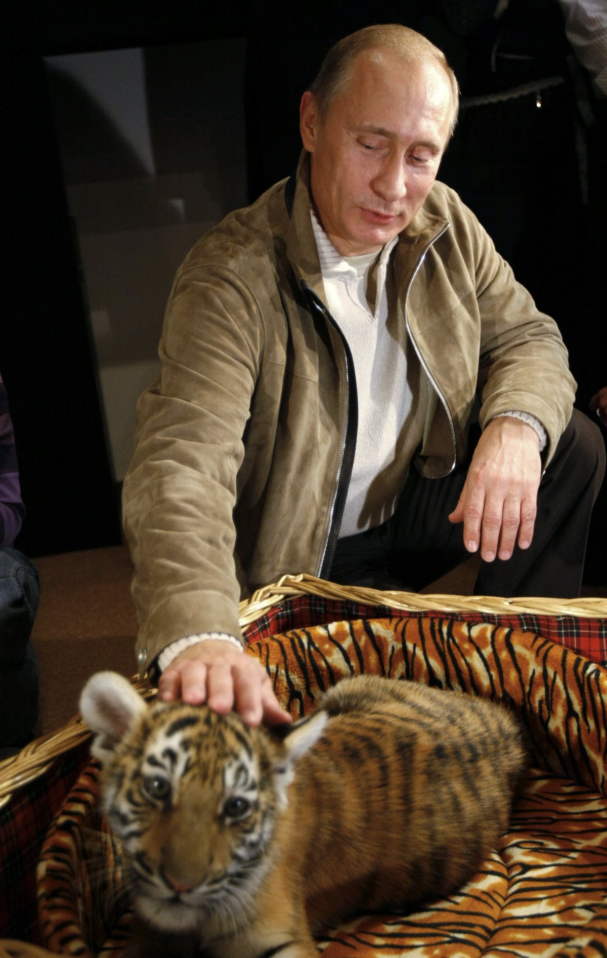 theres-also-a-softer-side-to-the-russian-president-here-putin-strokes-a-two-month-old-tiger-cub-he-received-as-a-birthday-present-at-his-novo-ogaryovo-residence-outside-of-moscow-it-will-soon-go-to-a-zoo