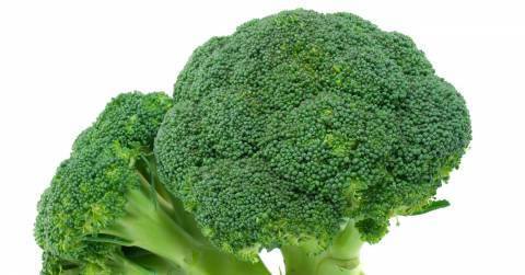 brocolli