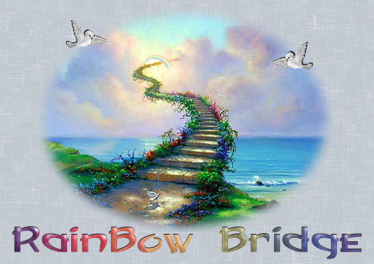 rainbow-bridg