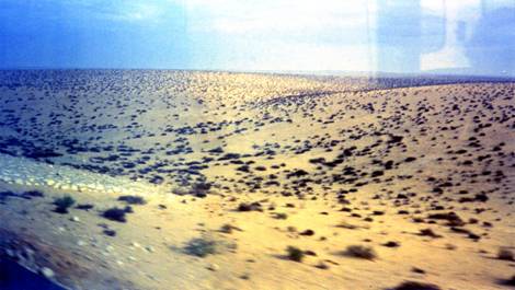 Sinai - 2.jpg