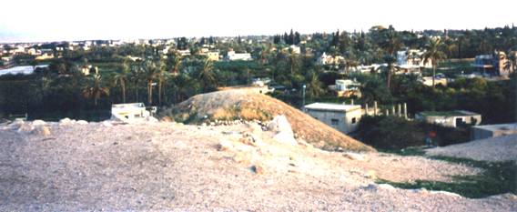 Modern city of Jericho.jpg