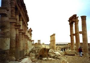 Palymyra - 3.jpg