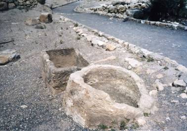 manager & trough - Megiddo.jpg