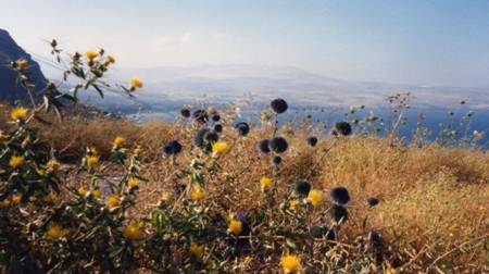 Looking toward Capernaum from Tiberias.jpg