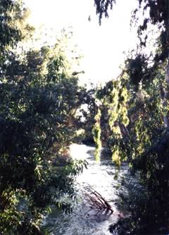 Jordan River near Sea of Galilee.jpg