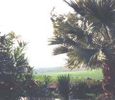 Mt. of Beatitudes - 2.jpg