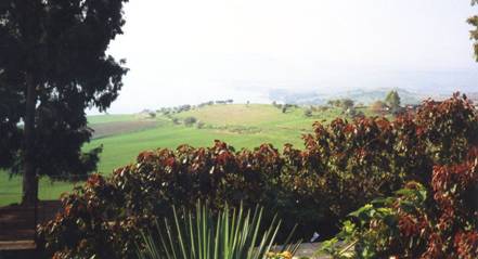 Mt. of Beatitudes - Jan..jpg