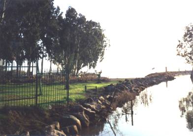 kibbutz site.jpg