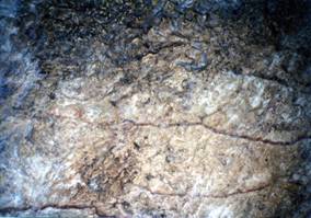 Cave wall.jpg