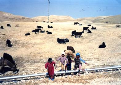 bedouin children - 2.jpg