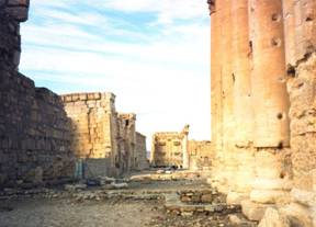 Palmyra - 4.jpg