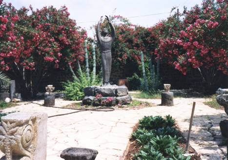 Gardens at Capernaum.jpg